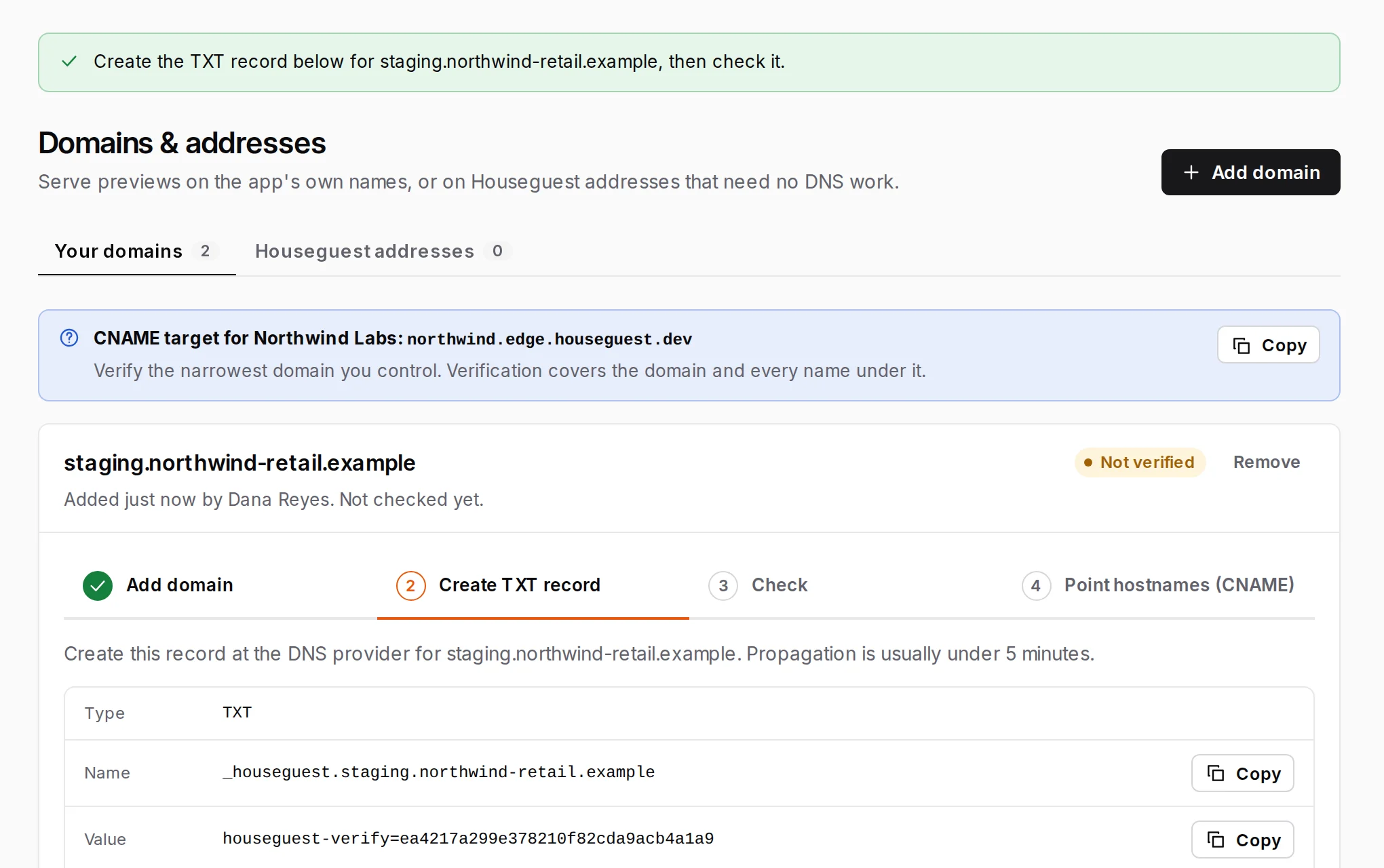 Domains & addresses: a new domain waiting for its TXT record, with the workspace's CNAME target above it